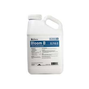 Athena Bloom B 3.78 Liter (1Gal)